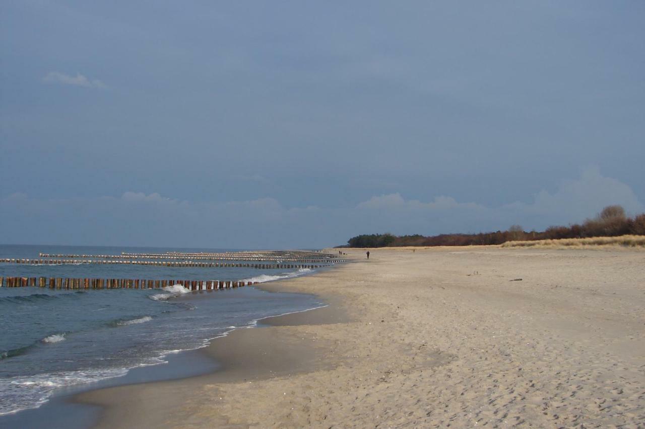 Ferienwohnung Am Strand Zingst Exterior foto