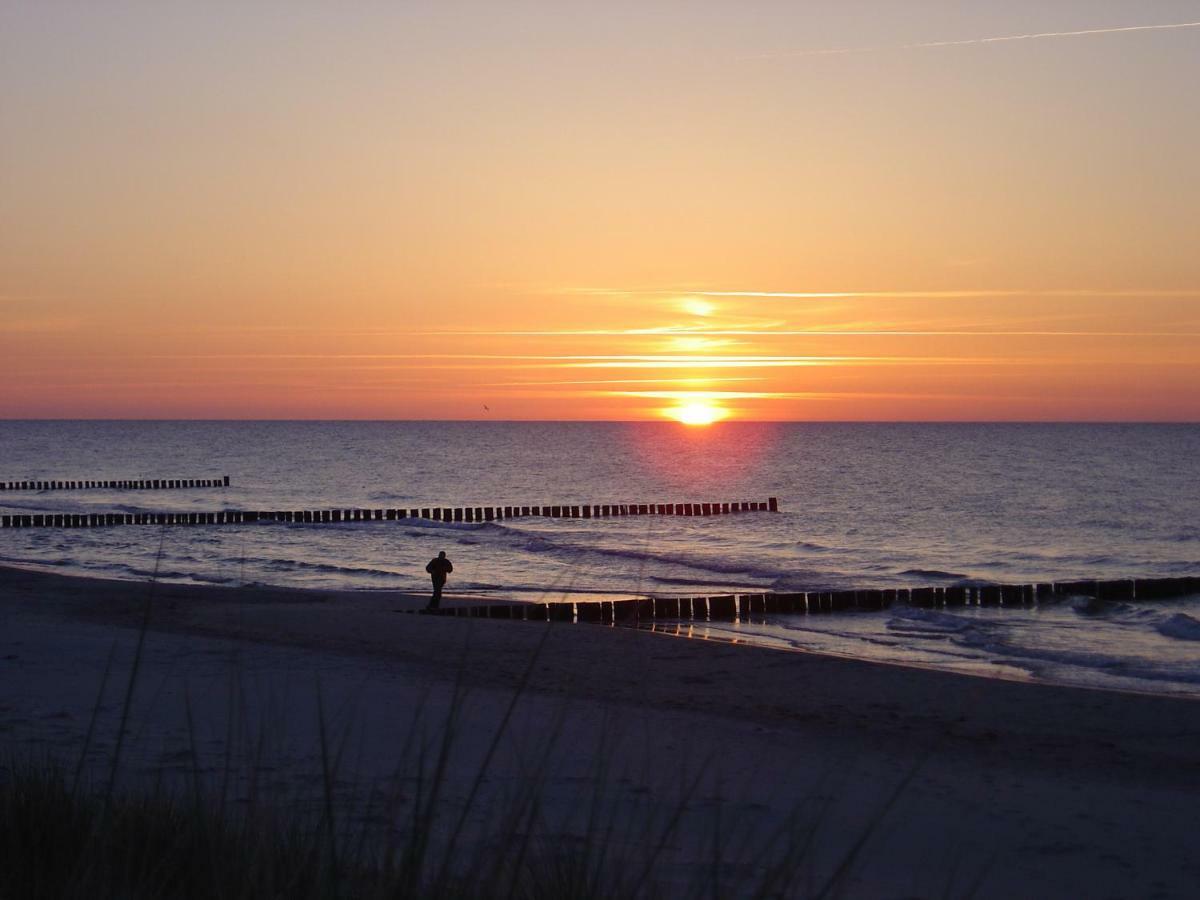 Ferienwohnung Am Strand Zingst Exterior foto